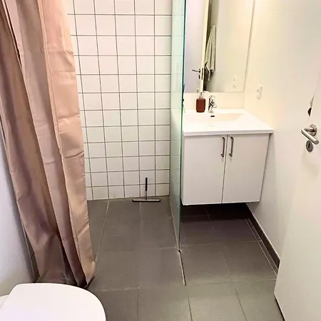 Skon Taglejlighed Midt I Apartmán Odense